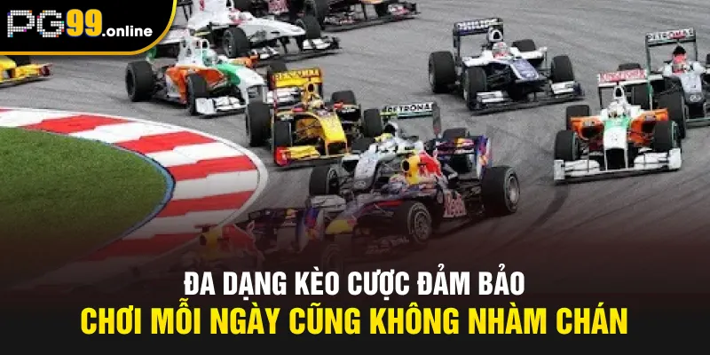 Đa dạng kèo cược đảm bảo chơi mỗi ngày cũng không nhàm chán