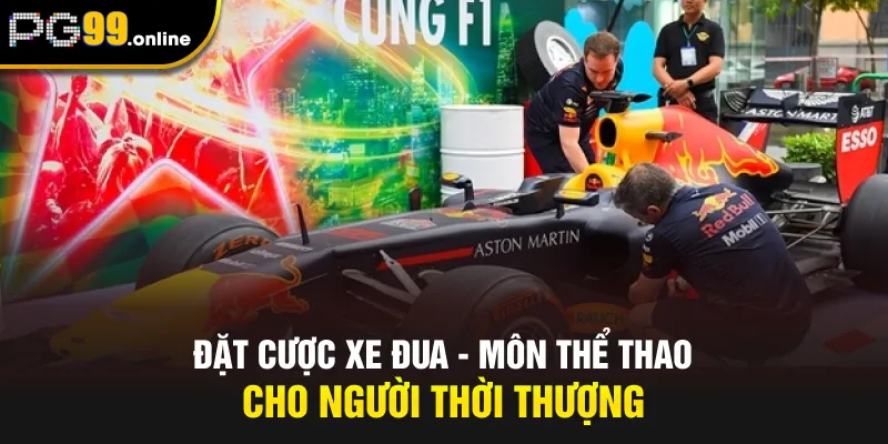 Đặt cược xe đua - Môn thể thao cho người thời thượng