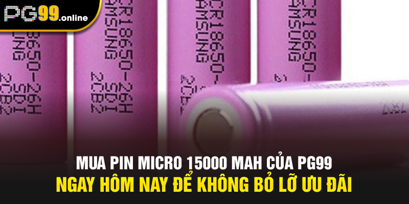 Mua Pin Micro 15000 MAH của PG99 ngay hôm nay để không bỏ lỡ ưu đãi