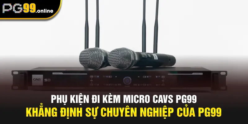 Phụ Kiện Đi Kèm Micro CAVS PG99 – Khẳng Định Sự Chuyên Nghiệp